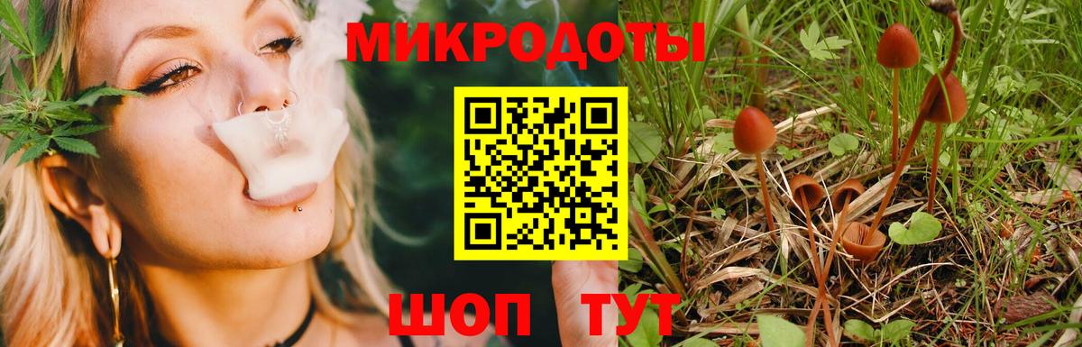 Котовск  Псилоцибиновые грибы MAGIC MUSHROOMS  Вход с VPN  Псилоцибиновые грибы Cubensis 